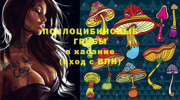 кристаллы Осинники