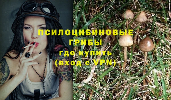 дмт Осташков