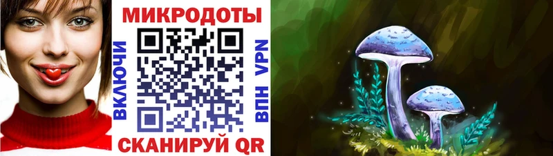 Купить  Славгород  Псилоцибиновые грибы мицелий 